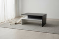 Modern Coffee Table, 2-tier Rectangular Center Table with Storage Shelves for Living Room, Black/White